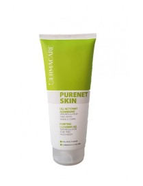 PURENET SKIN GEL NETTOY.T/200ML