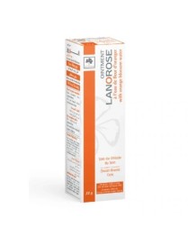 POMMADE VITAL LANOROSE 35GR