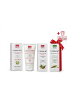 PACK DAHLIA ANTI CHUTE